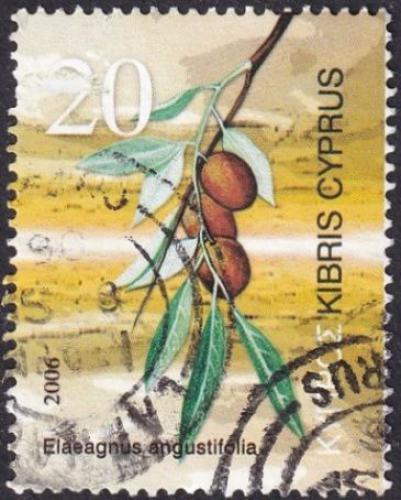 Potovn znmka Kypr 2006 Hloina zkolist Mi# 1076