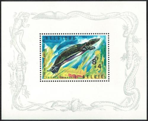 Poštová známka Belgicko 1965 Kožnatka africká Mi# Block 33