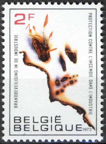 Potov znmka Belgicko 1973 Protiporn ochrana Mi# 1713 - zvi obrzok