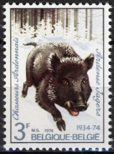 Poštová známka Belgicko 1974 Divoké prase Mi# 1785