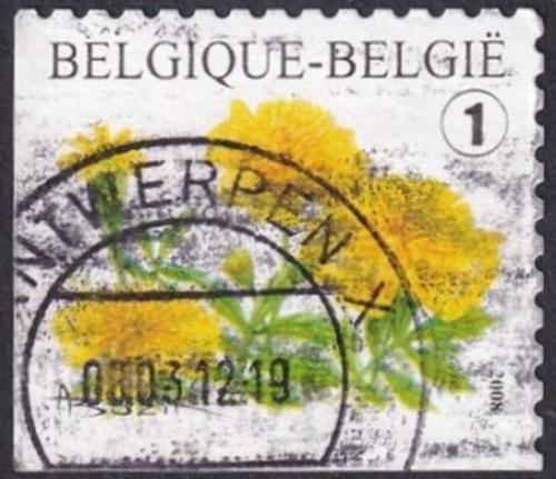 Potov znmka Belgicko 2001 Narcisy Mi# 3095 Dr - zvi obrzok