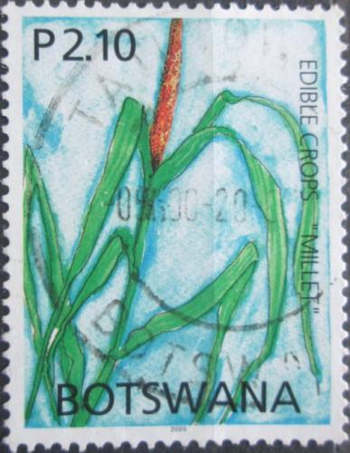 Potovn znmka Botswana 2005 Br italsk II Mi# 814 - zvi obrzok