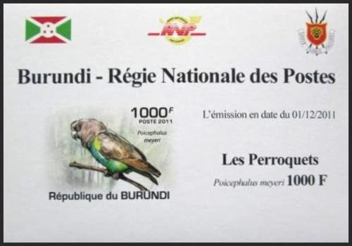 Potov znmka Burundi 2011 Papouek lutotemenn neperf DELUXE Mi# 1975 B Block - zvi obrzok