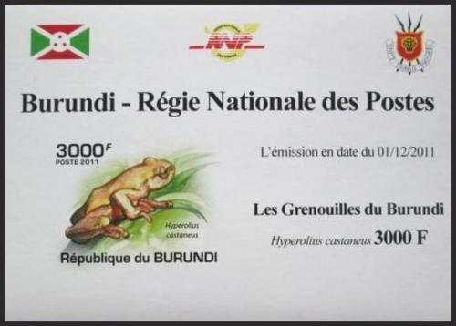 Potov znmka Burundi 2011 ba neperf. DELUXE Mi# 2064 B Block 