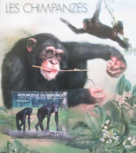 Poštová známka Burundi 2012 Šimpanz uèenlivý Mi# Mi# Block 295 Kat 9€