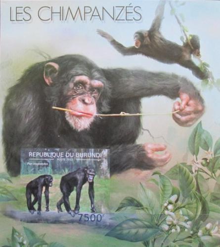 Poštová známka Burundi 2012 Šimpanz uèenlivý neperf. Mi# Block 295 B