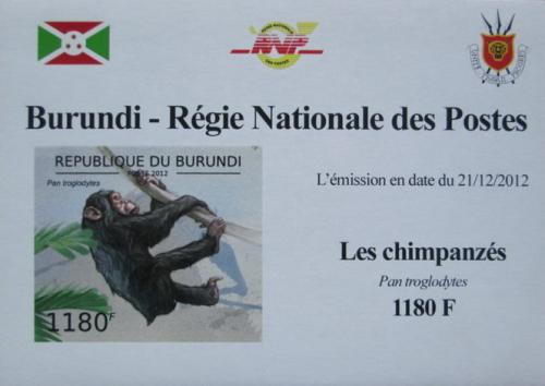 Poštová známka Burundi 2012 Šimpanz uèenlivý neperf. DELUXE Mi# 2853 B Block