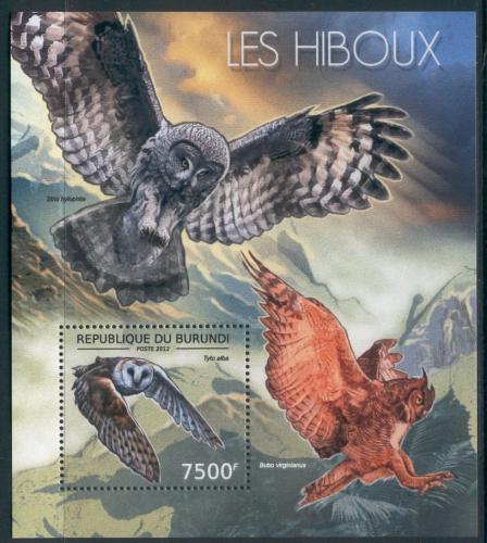 Poštová známka Burundi 2012 Sovy Mi# Block 286 Kat 9€
