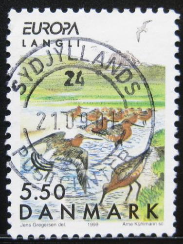 Poštovní známka Dánsko 1999 Rezervace Langli, Evropa CEPT Mi# 1212
