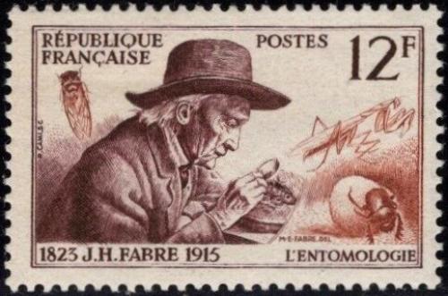 Potov znmka Franczsko 1956 Jean-Henri Fabre, entomolog Mi# 1083 - zvi obrzok