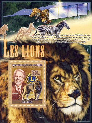 Poštová známka Guinea 2008 Lev Mi# Block 1534 Kat 10€ 