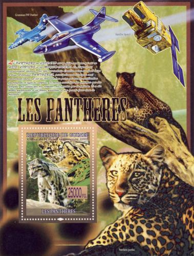 Poštová známka Guinea 2008 Levhart skvrnitý Mi# Block 1535 Kat 10€