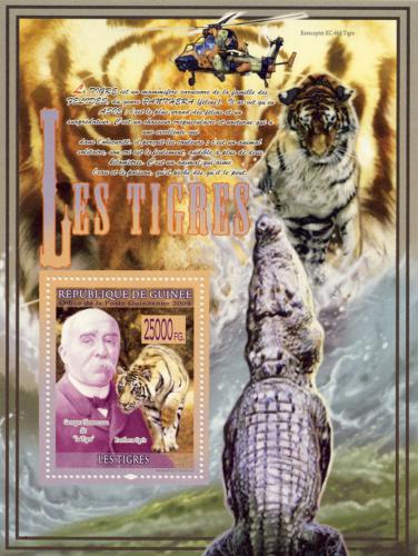 Poštová známka Guinea 2008 Tiger Mi# Block 1533 Kat 10€