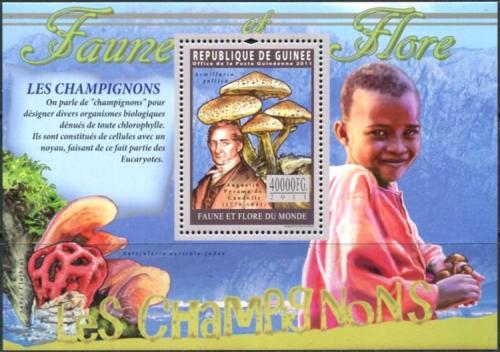 Poštovní známka Guinea 2011 Houby Mi# Block 1935 Kat 16€