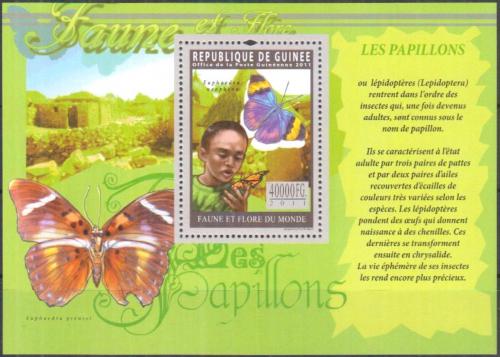 Poštovní známka Guinea 2011 Motýli Mi# Block 1938 Kat 18€