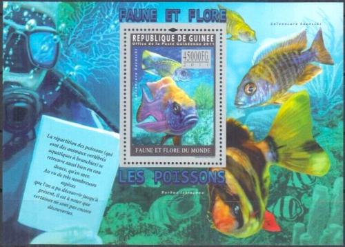 Poštovní známka Guinea 2011 Ryby Mi# Block 1940 Kat 18€