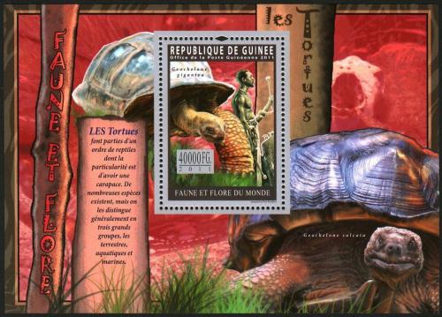 Poštovní známka Guinea 2011 Želvy Mi# Block 1942 Kat 16€