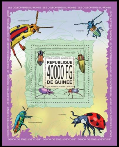 Poštová známka Guinea 2013 Chrobáky Mi# Block 2289 Kat 16€