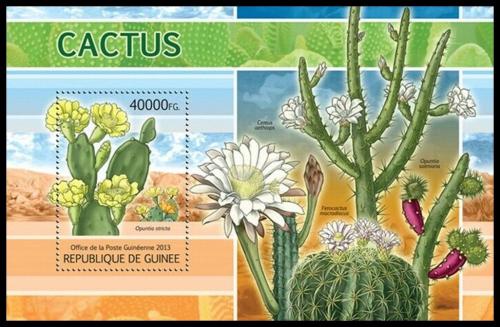 Poštová známka Guinea 2013 Kaktusy Mi# Block 2204 Kat 16€