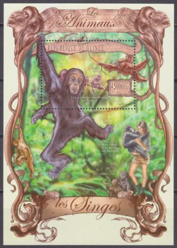 Poštová známka Guinea 2013 Opice Mi# Block 2240 Kat 18€