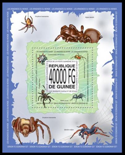 Poštová známka Guinea 2013 Pavúky Mi# Block 2292 Kat 16€