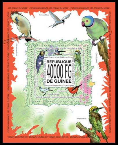 Poštová známka Guinea 2013 Vtáci Mi# Block 2297 Kat 16€
