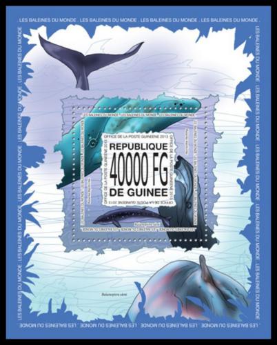 Poštová známka Guinea 2013 Ve¾ryby Mi# Block 2305 Kat 16€