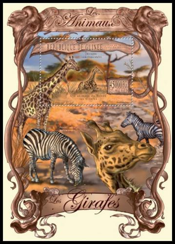 Poštová známka Guinea 2013 Žirafy Mi# Block 2232 Kat 18€