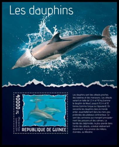 Poštová známka Guinea 2014 Delfíny Mi# Block 2342 Kat 16€