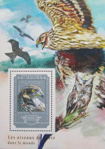 Poštová známka Guinea 2014 Dravci Mi# Block 2456 Kat 16€