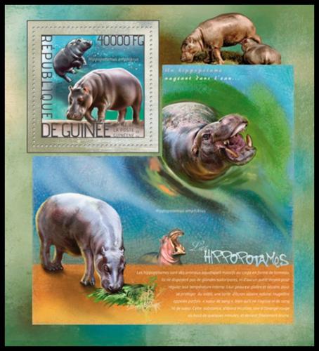 Poštová známka Guinea 2014 Hrochy Mi# Block 2370 Kat 16€