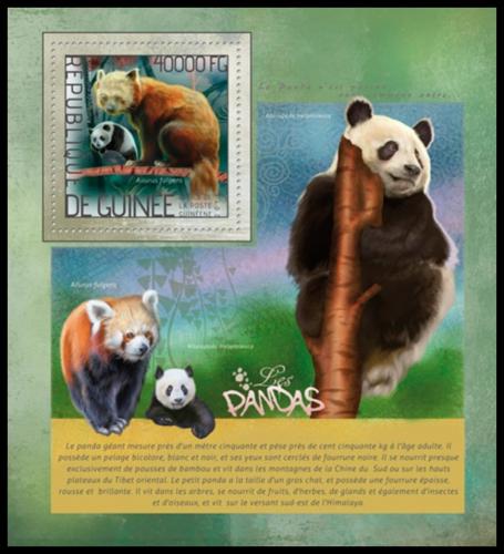Poštová známka Guinea 2014 Pandy Mi# Block 2368 Kat 16€