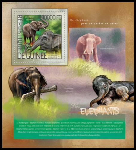 Poštová známka Guinea 2014 Slony Mi# Block 2371 Kat 16€