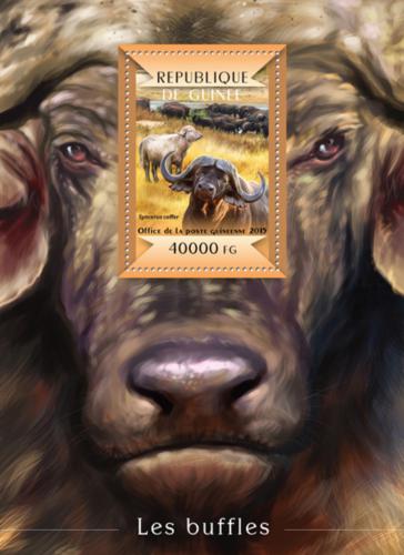 Poštová známka Guinea 2015 Buvol africký Mi# Block 2484 Kat 16€