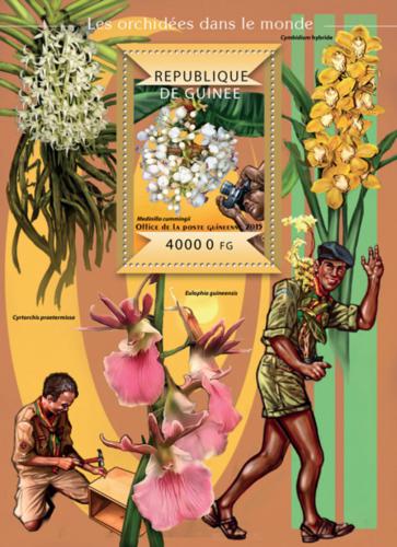 Poštová známka Guinea 2015 Orchideje Mi# Block 2477 Kat 16€