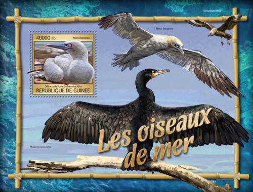 Poštová známka Guinea 2016 Moøští ptáci Mi# Block 2657 Kat 16€