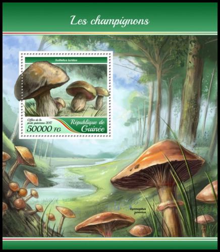 Poštová známka Guinea 2017 Huby Mi# Block 2803 Kat 20€