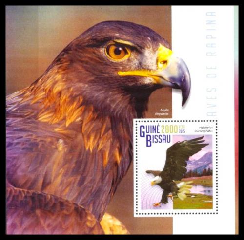 Poštovní známka Guinea-Bissau 2015 Dravci Mi# Block 1320 Kat 11€