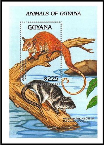 Poštová známka Guyana 1992 Caluromys laniger Mi# Block 203 Kat 10€
