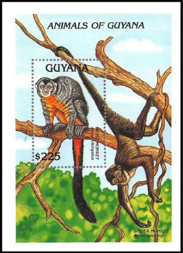 Poštová známka Guyana 1992 Mirikina obecná Mi# Block 202 Kat 10€