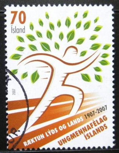 Poštová známka Island 2007 Organizácie mládeže Mi# 1161