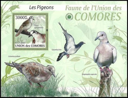 Poštová známka Komory 2009 Holubi Mi# Block 522 Kat 15€