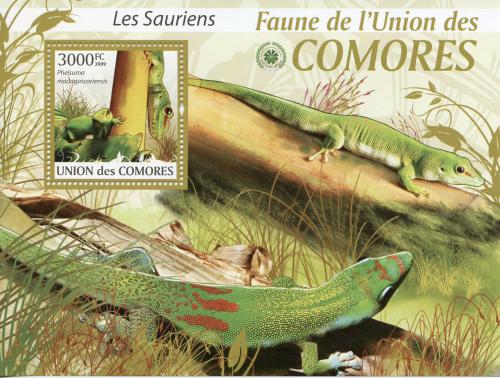 Poštová známka Komory 2009 Jašterice Mi# Block 513 Kat 15€
