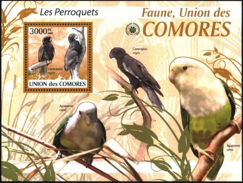 Poštová známka Komory 2009 Papagáje Mi# 2424 Kat 15€