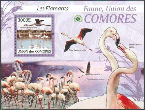 Poštová známka Komory 2009 Plameòáci Mi# 2427 Kat 15€ 