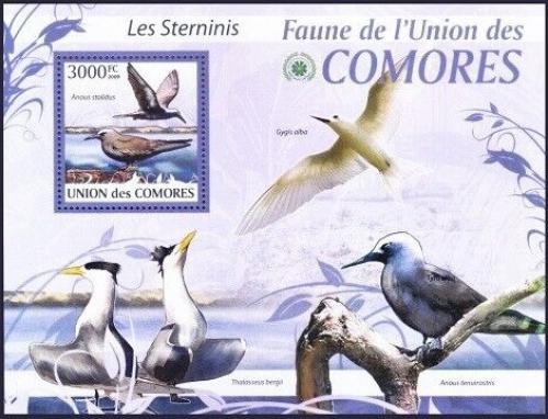 Poštová známka Komory 2009 Rybák Mi# 2426 Kat 15€ 