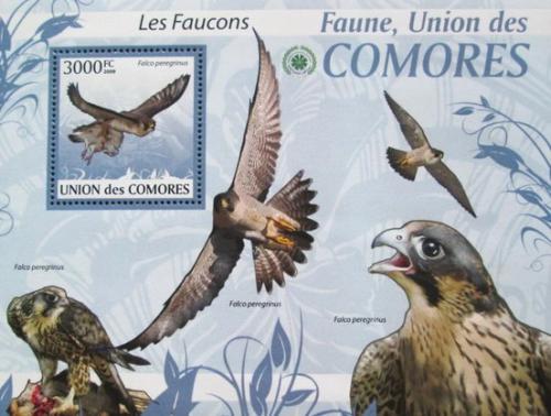 Poštová známka Komory 2009 Sokoli Mi# 2428 Kat 15€