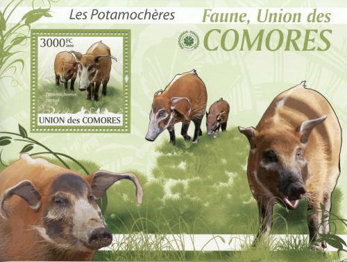 Poštová známka Komory 2009 Štìtkoun africký Mi# 2465 Kat 15€
