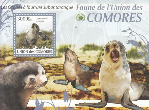 Poštová známka Komory 2009 Tulene Mi# 2466 Kat 15€