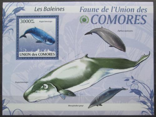 Poštová známka Komory 2009 Ve¾ryby Mi# 2469 Kat 15€